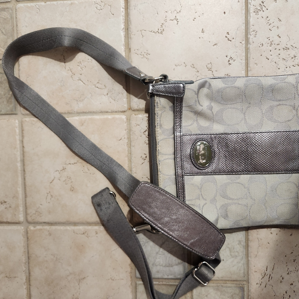 Gray and Silver Crossbody Bag